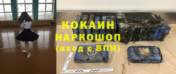 PSILOCYBIN Грязовец